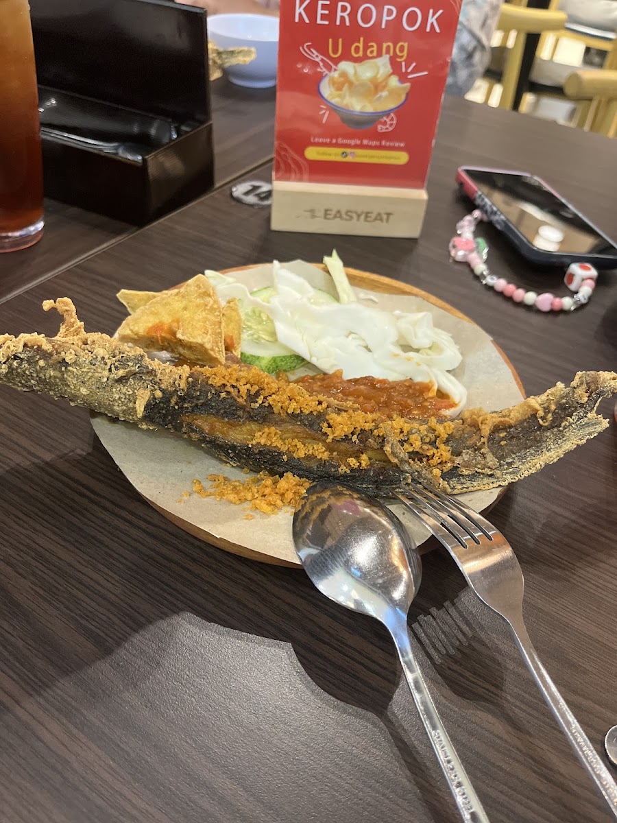 Ayam Penyet AP @NU Sentral Photo 7