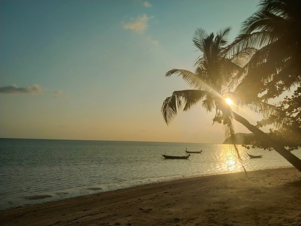 Beachlounge Photo 4