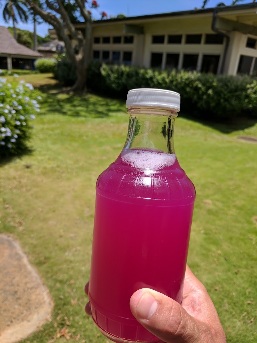 Kauai Juice Co Koloa Photo 7