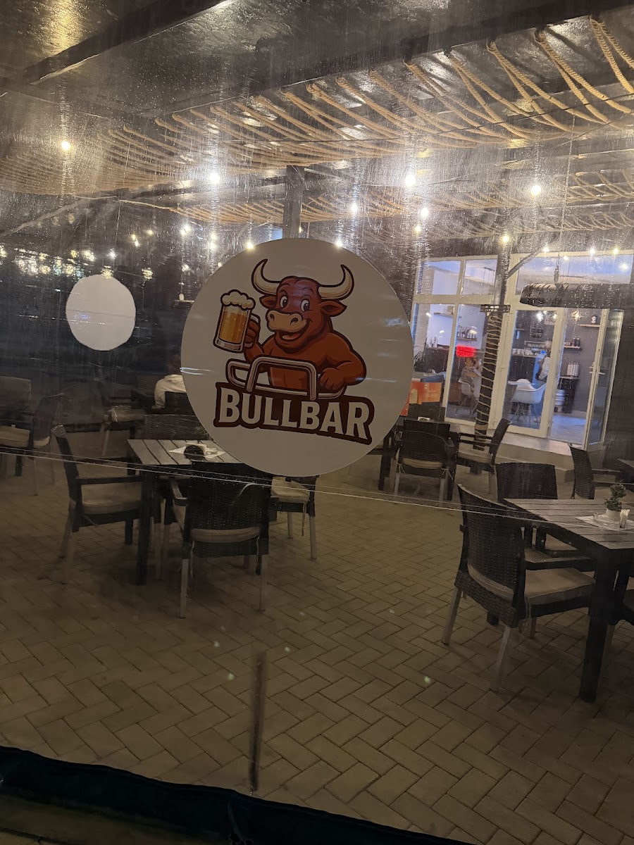 Bullbar Mosnita Photo 9