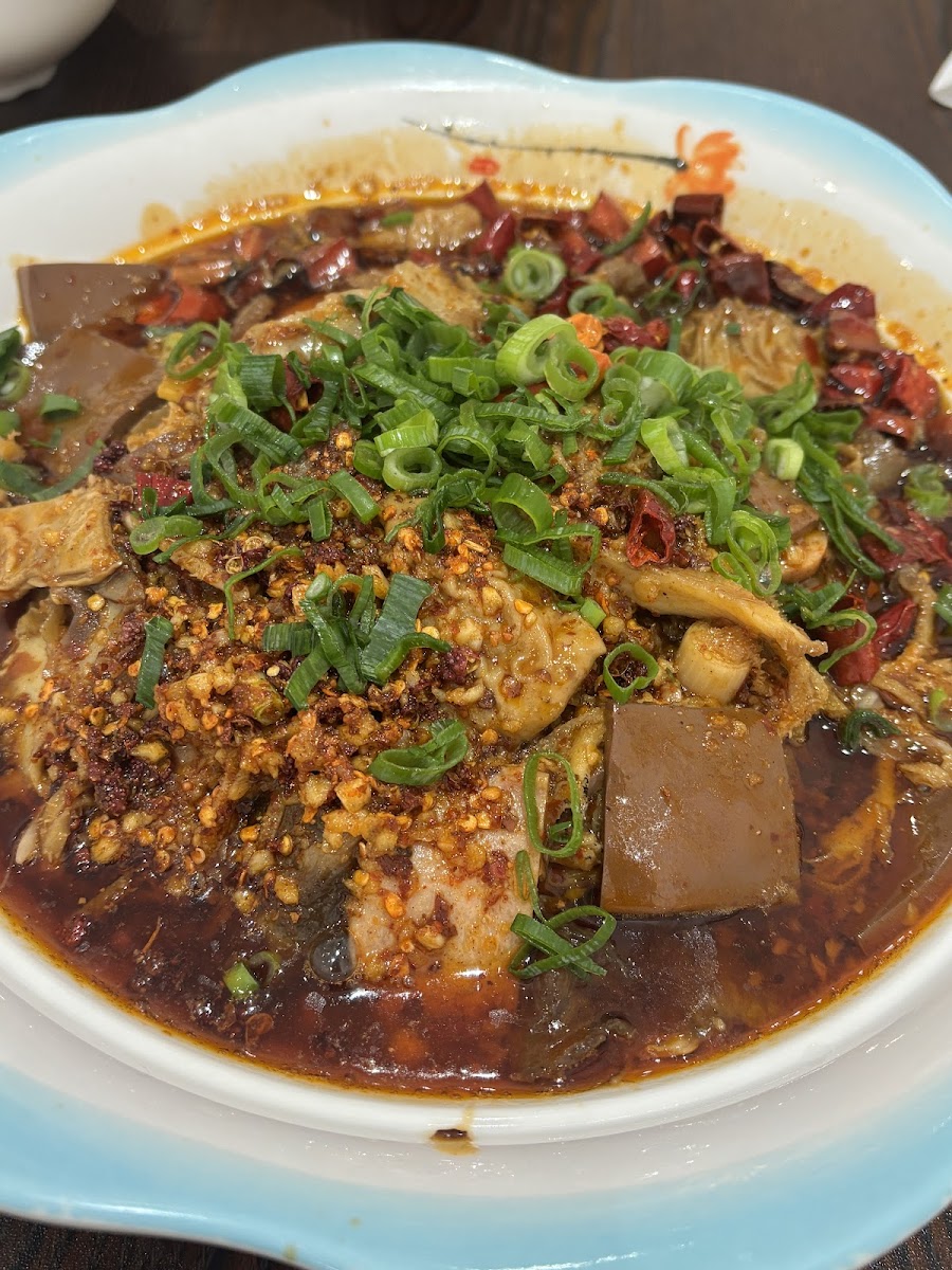 Lily's Szechuan Restaurant Photo 8
