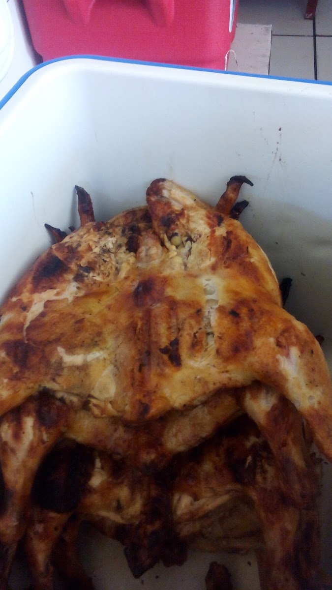 Pollo Feliz Suc. Circonio Photo 5