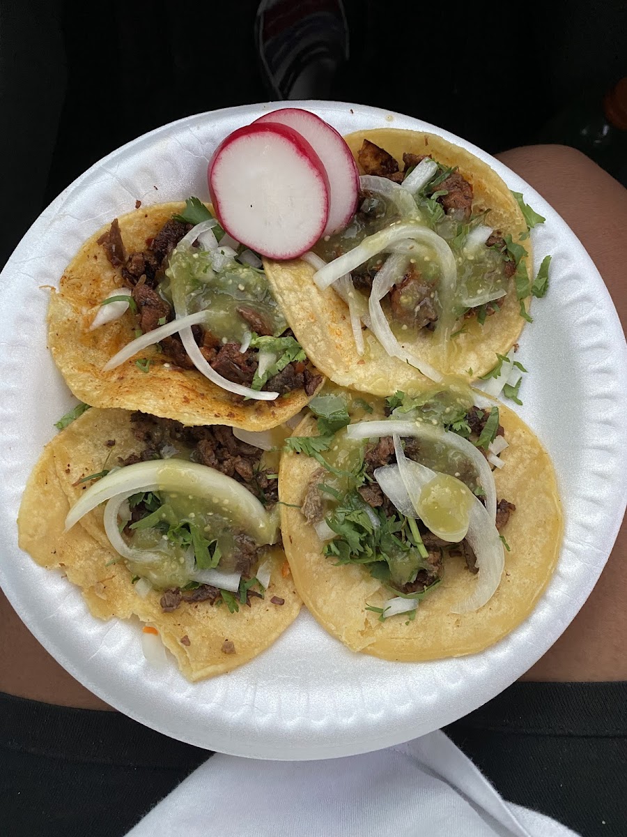 Tacos El Pelon Photo 3
