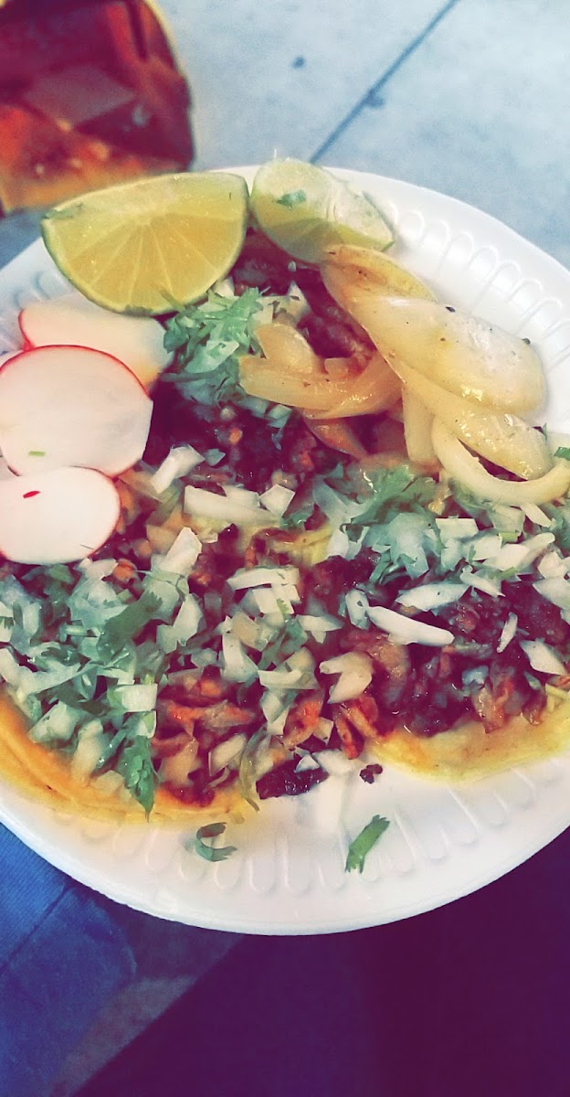 Tacos El Pelon Photo 5