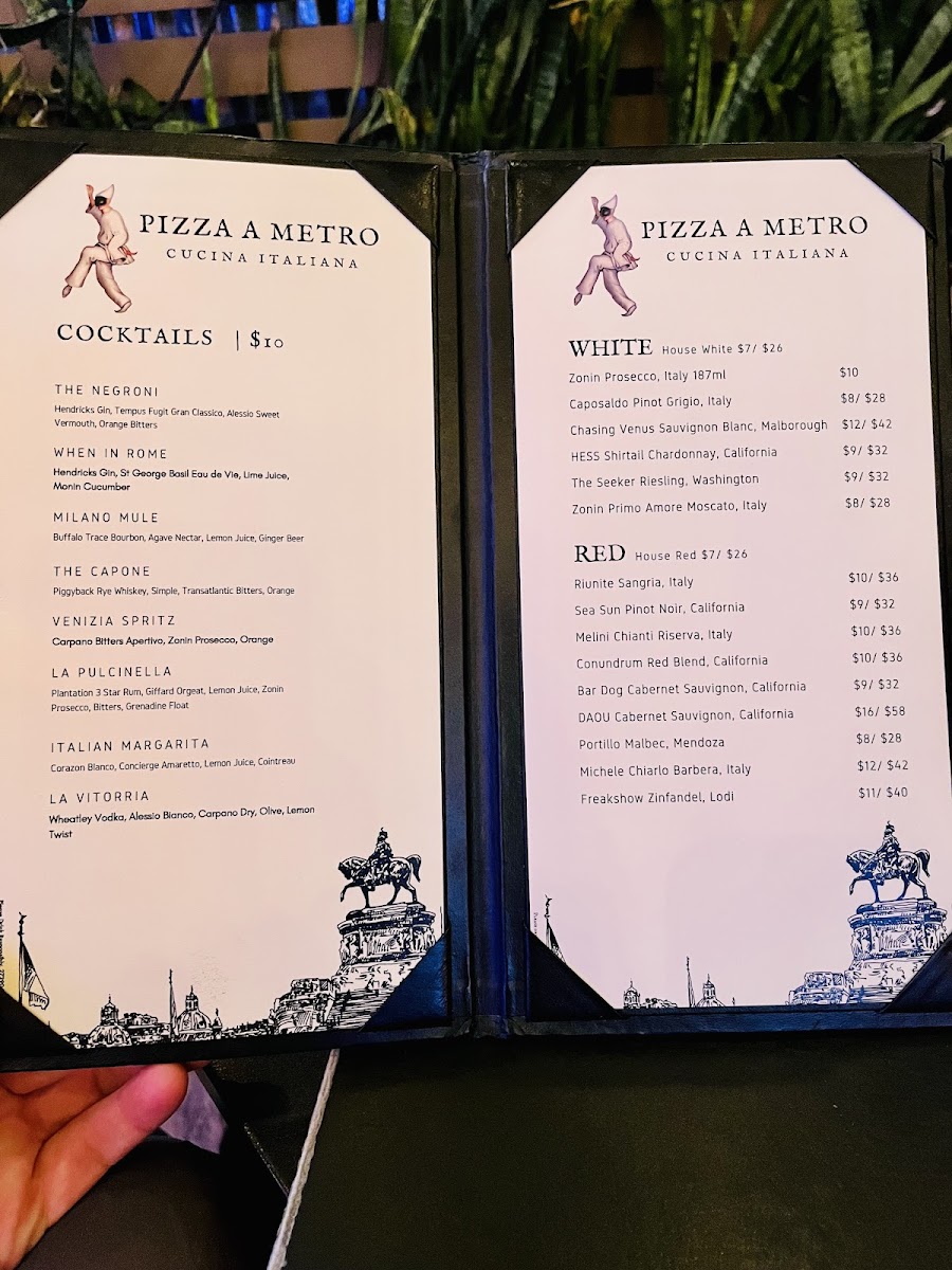 Pizza A Metro Photo Menu 6