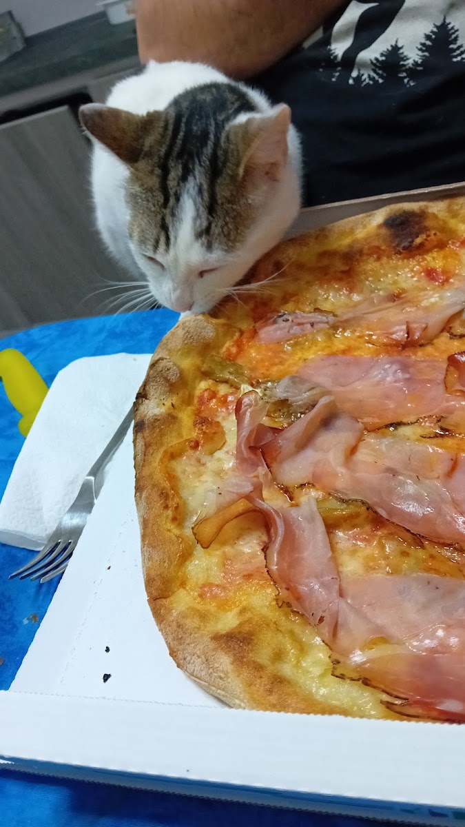 IL CEDRO Pizzeria da asporto Photo 6