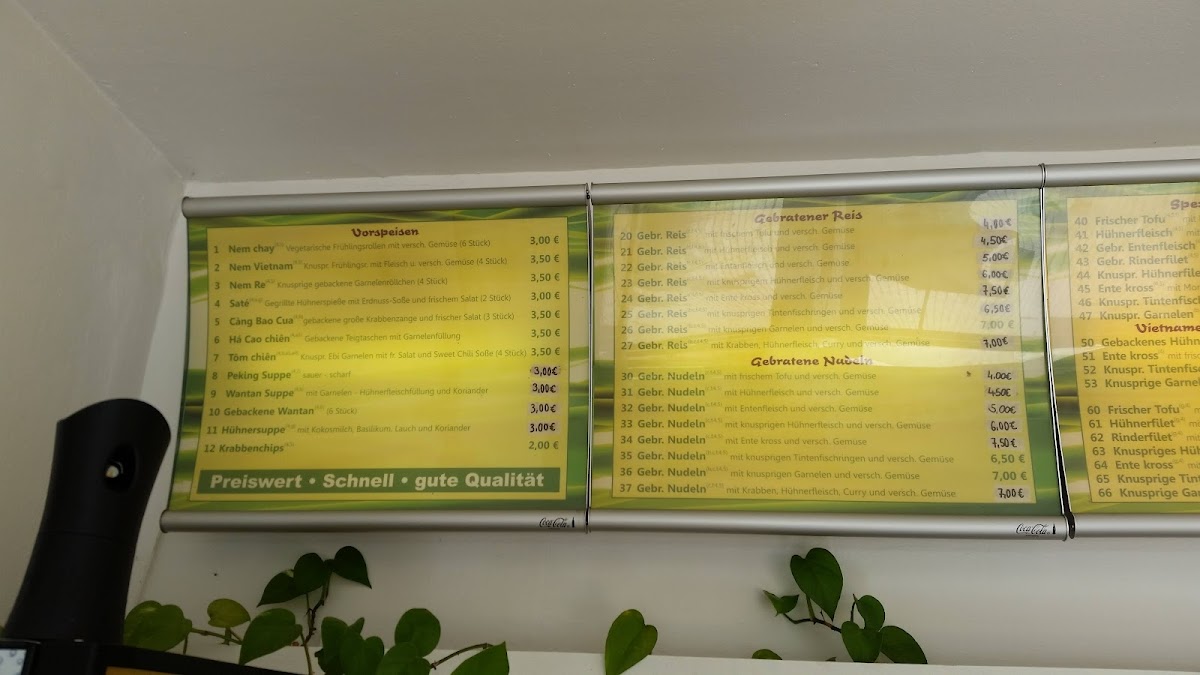 Asia Phong (Bad Rodach) Photo Menu 8