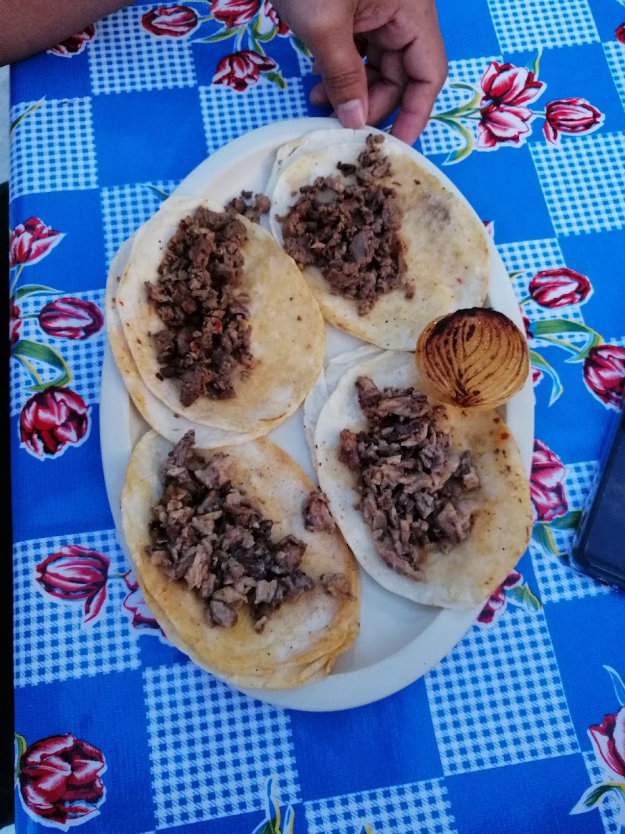 Tacos El guero Photo 3