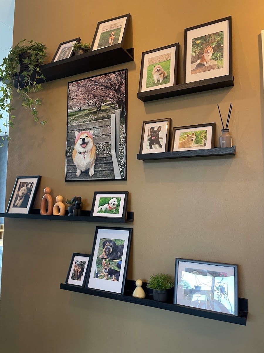 Xoi’s Café Photo 4