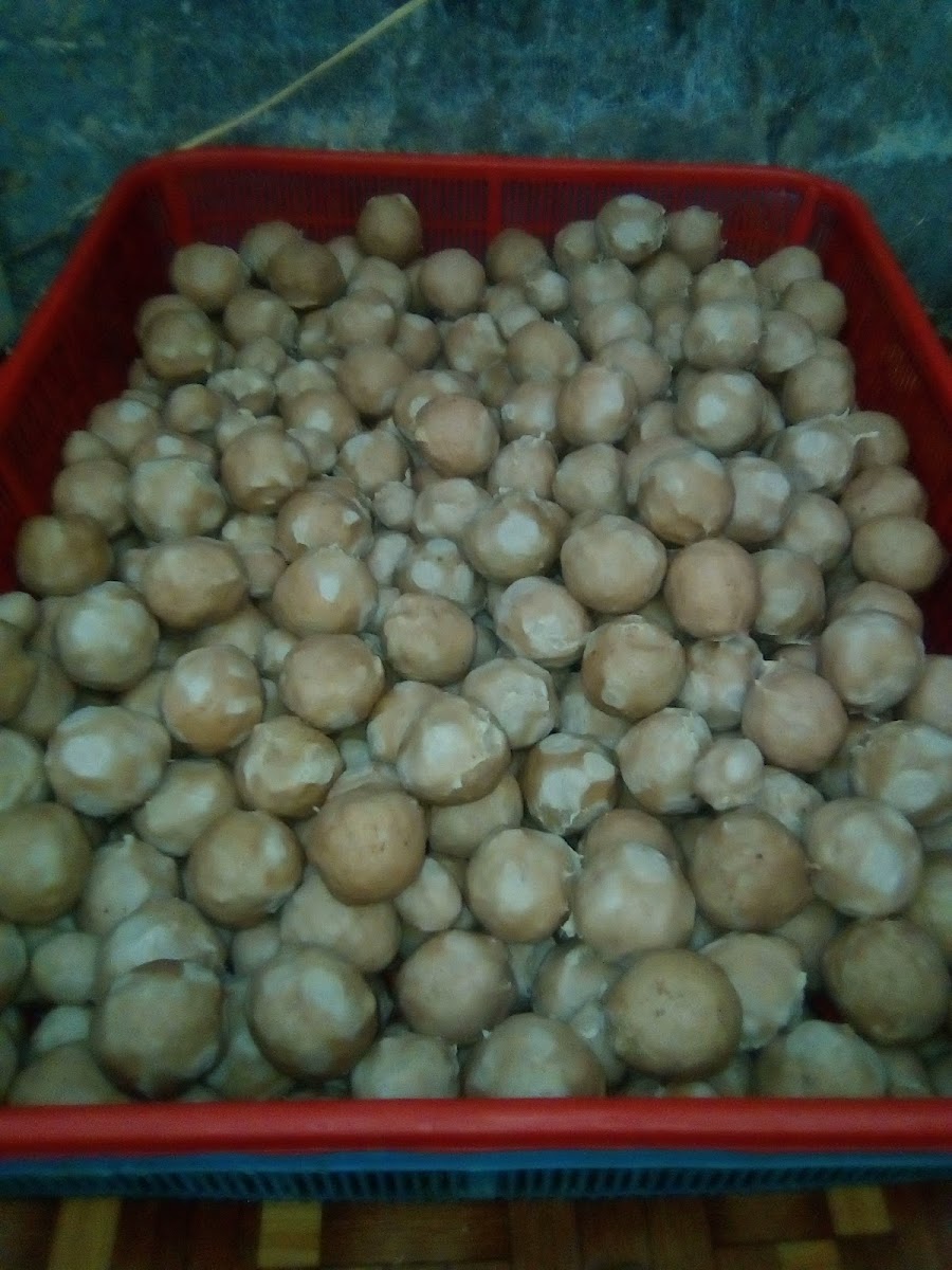 Bakso Lumayan Photo 7