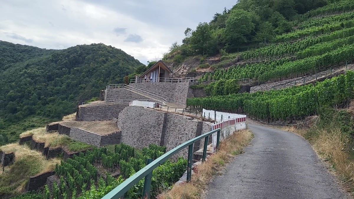 Gaststätte Winzerschenke Photo 2
