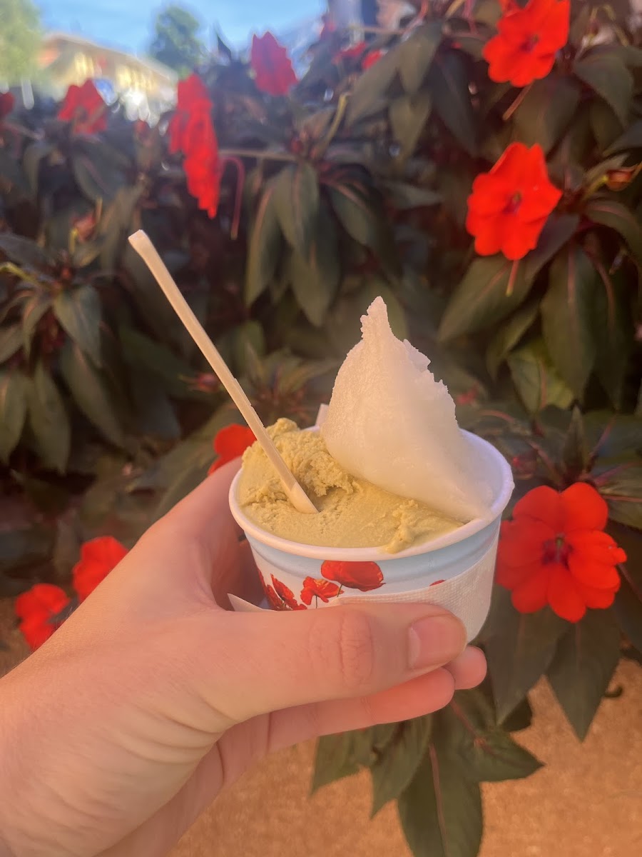Cubita Gelateria Photo 8