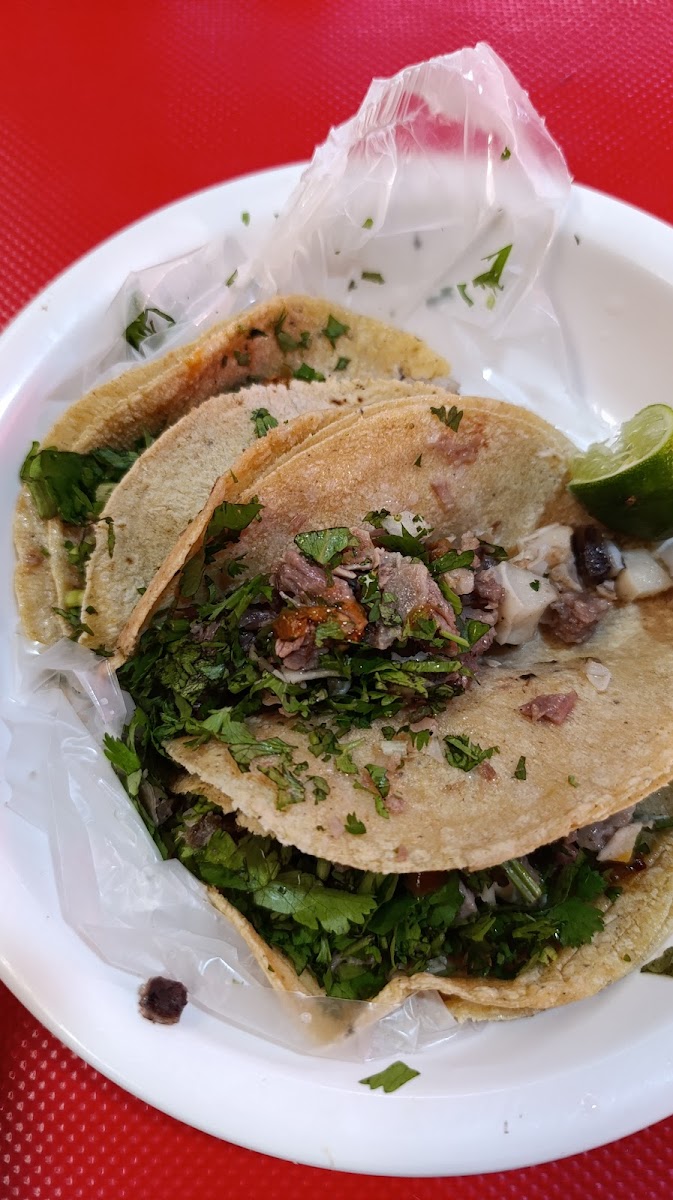 Tacos de cabeza Luis Photo 8