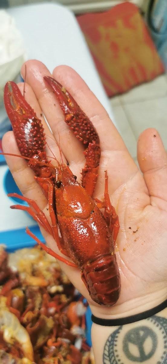 Crawfish Jake Catering and Drive Through Photo 8