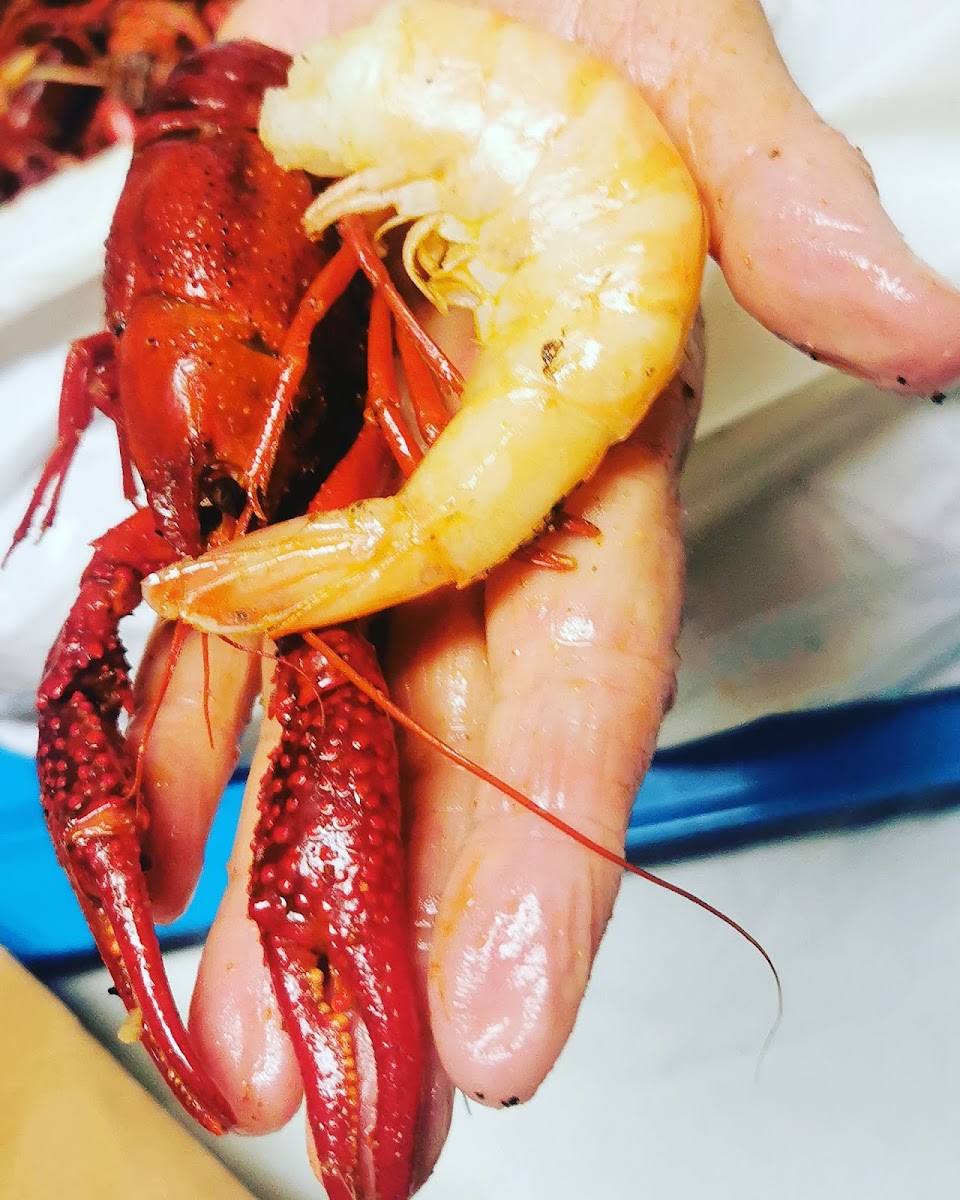 Crawfish Jake Catering and Drive Through Photo 9