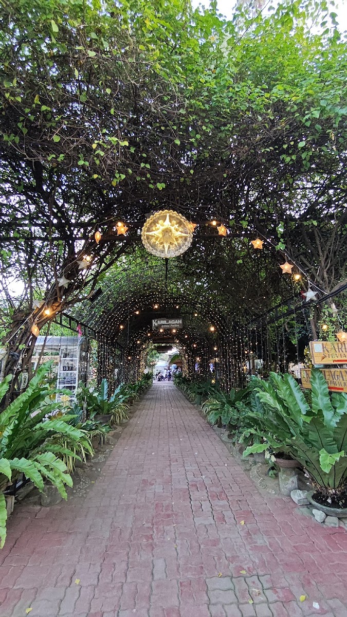 Karilagan Stevia Farm Cafe Photo 4