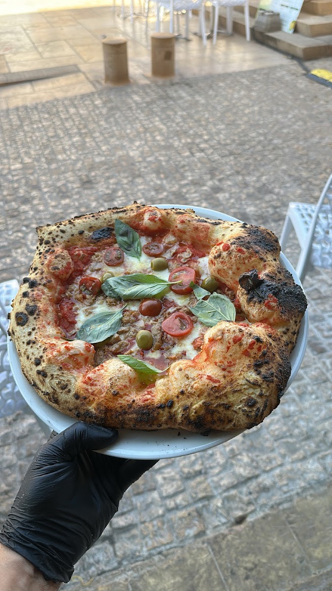 DI MICHELI RISTORANTE Photo 5