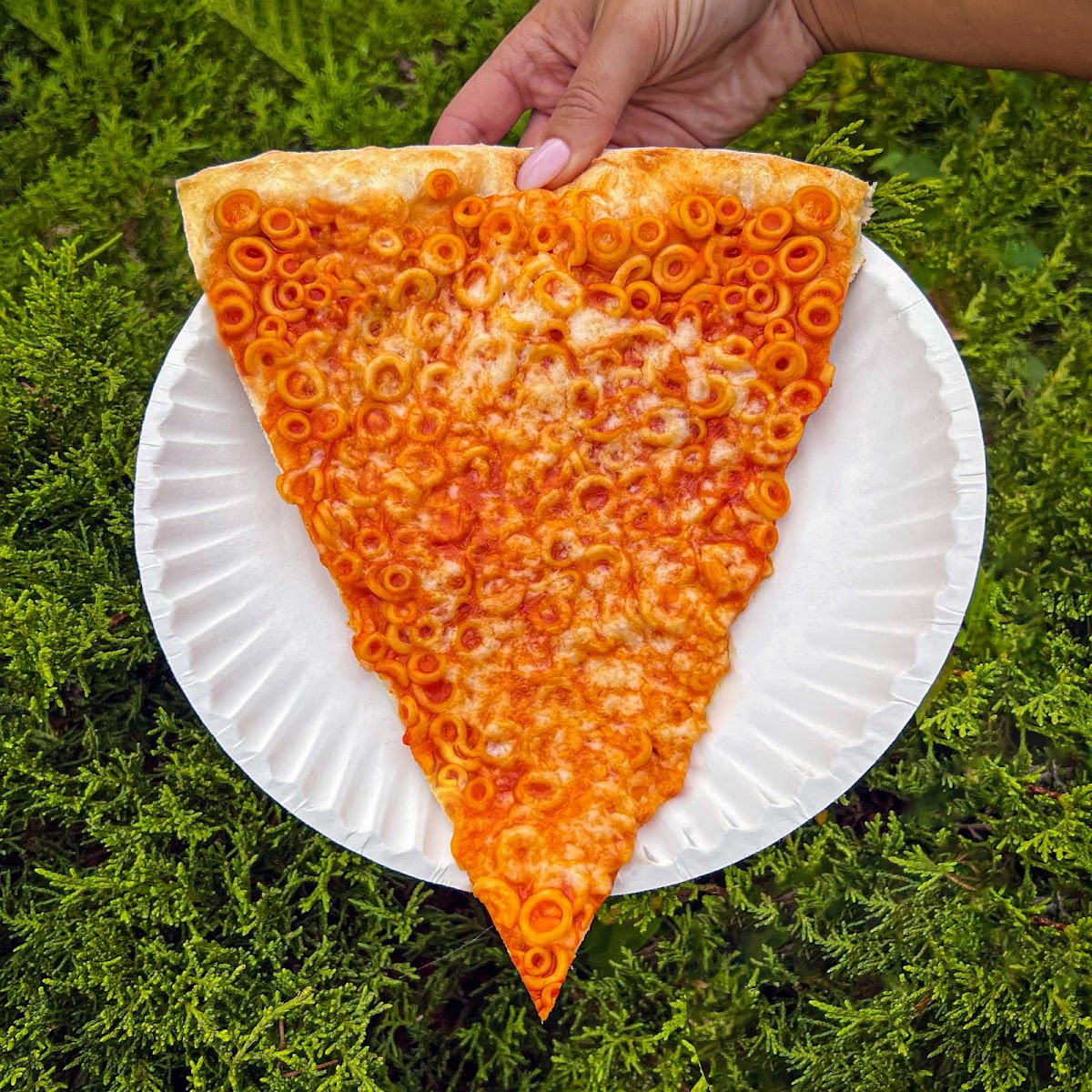 Cam's Pizzeria Photo 8