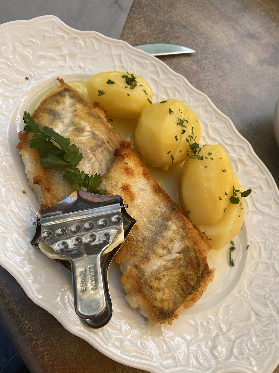 Zur Wichmannlinde Photo 3