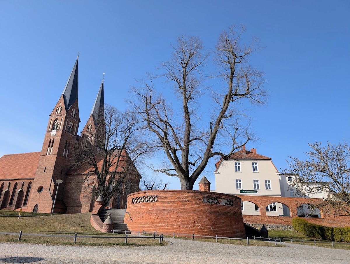 Zur Wichmannlinde Photo 4
