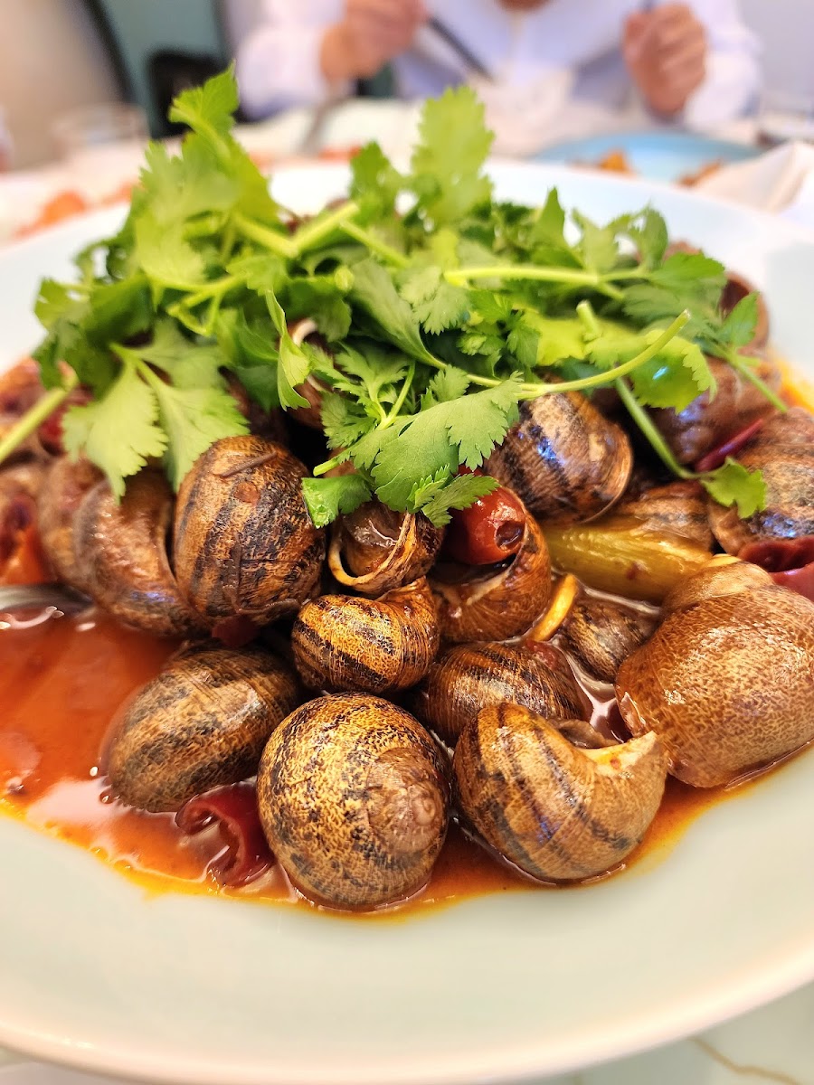 Restaurante Cocina China Imperial 王府大酒店 Photo 6