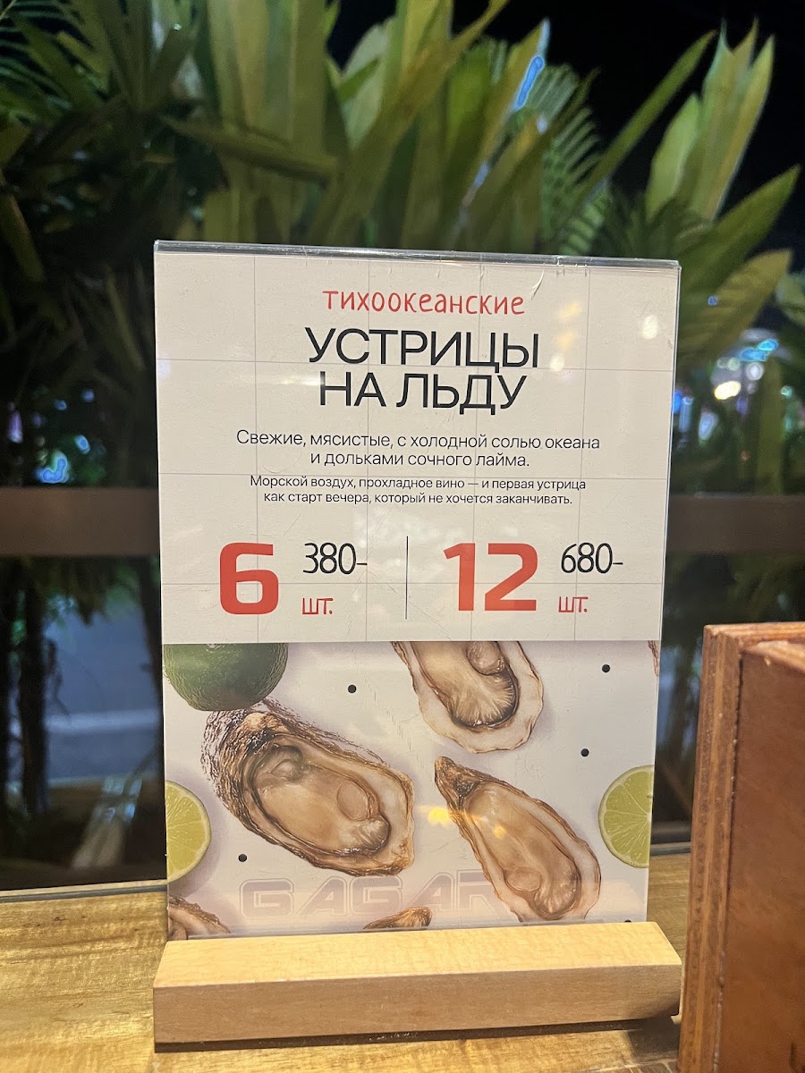 Gagarin Chaihana (Чайхана) Restaurant Photo Menu 6