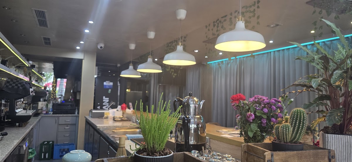 KIVA Bistro