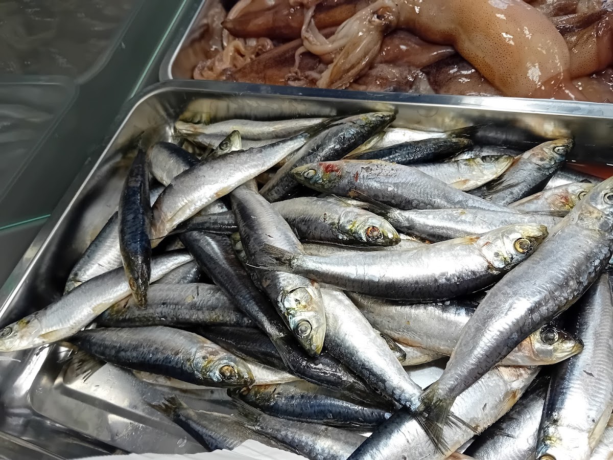 FISH LAB Photo 6