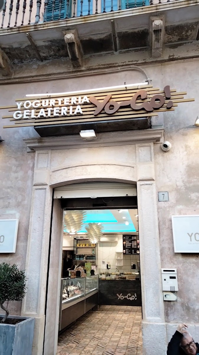 Yo-Go Gelateria Yogurteria Photo 2