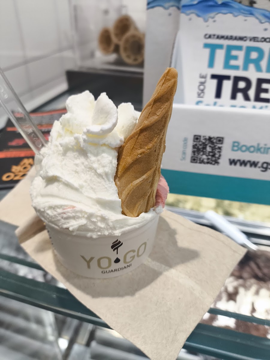 Yo-Go Gelateria Yogurteria Photo 5