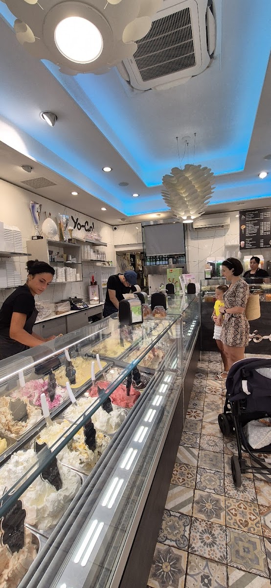 Yo-Go Gelateria Yogurteria Photo 6