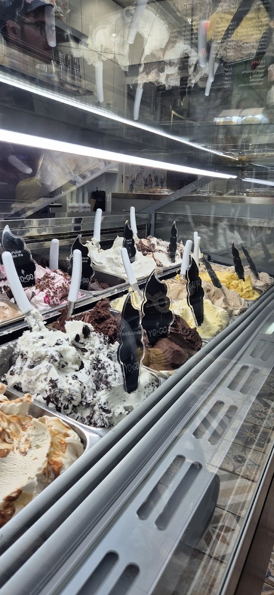 Yo-Go Gelateria Yogurteria Photo 7