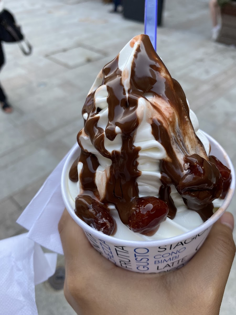 Vanilla Prelibata Gelateria Photo 7