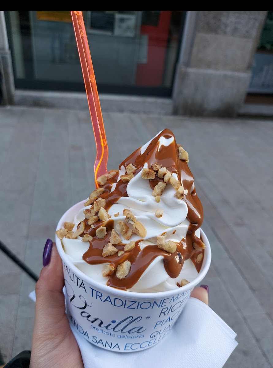 Vanilla Prelibata Gelateria Photo 8