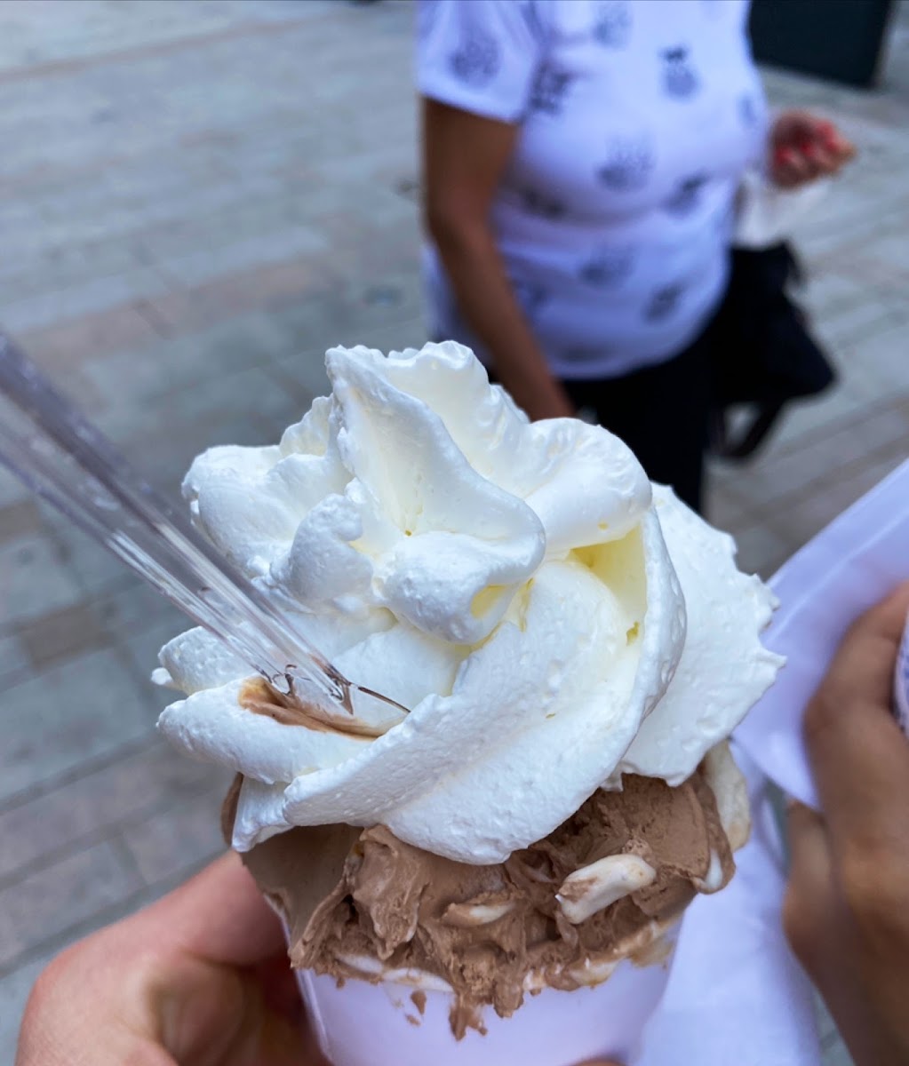 Vanilla Prelibata Gelateria Photo 9