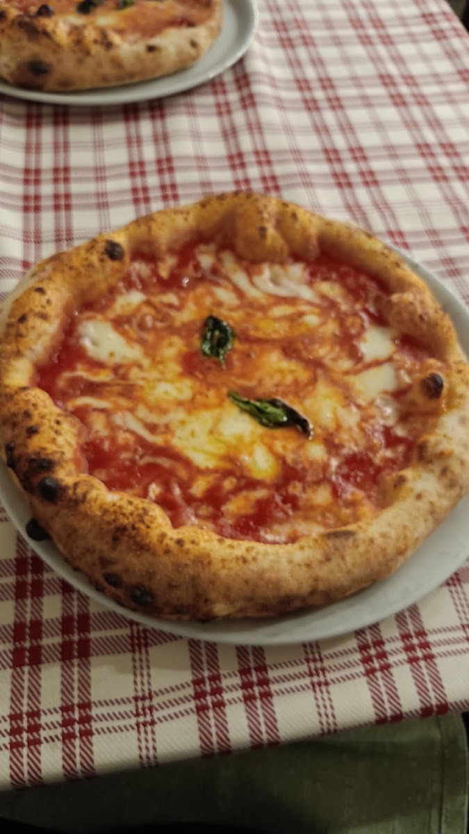 Pizzeria Ristorante Spaccanapoli 187 Granato Carmine Photo 5