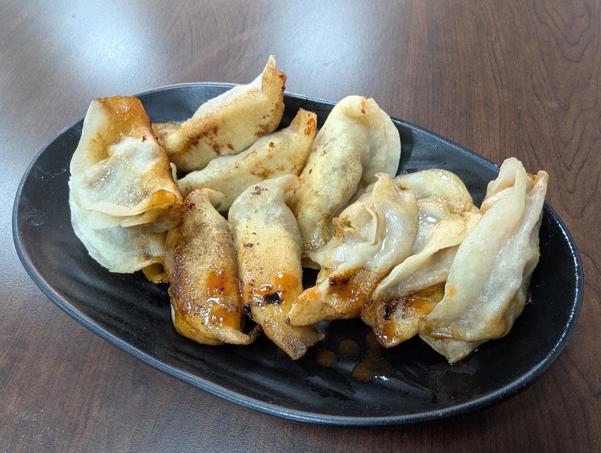 North Dumpling 北方锅贴 Photo 6