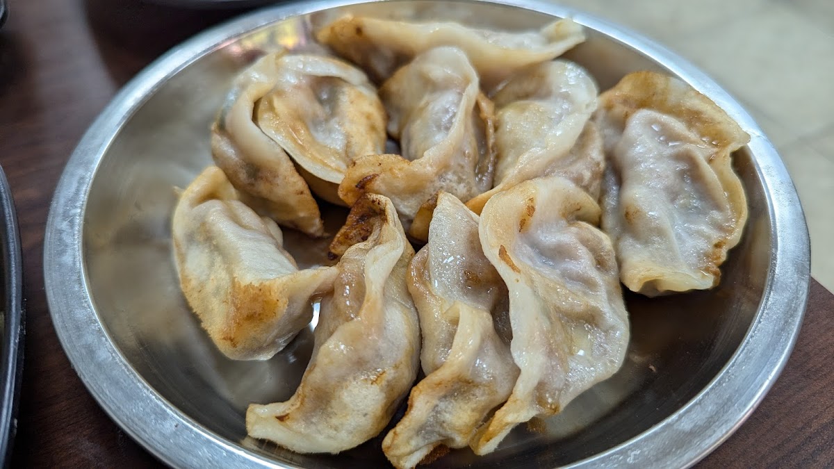 North Dumpling 北方锅贴 Photo 9