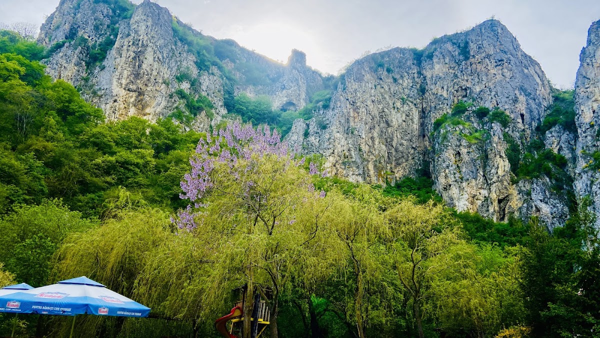 Foișorul racului Photo 4