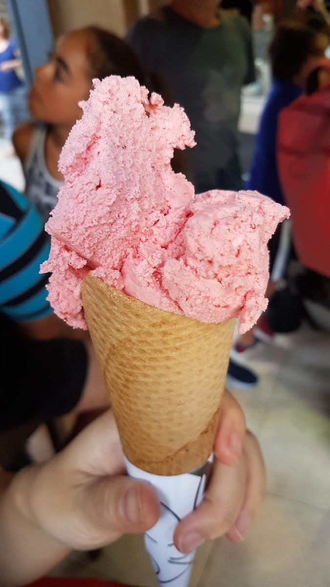 Gelatiamo Besalú Photo 8
