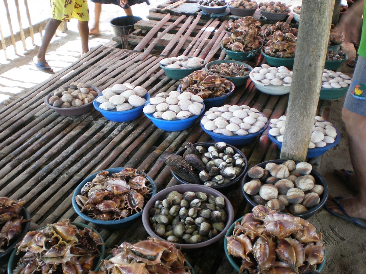 Seafood Market Photo 7