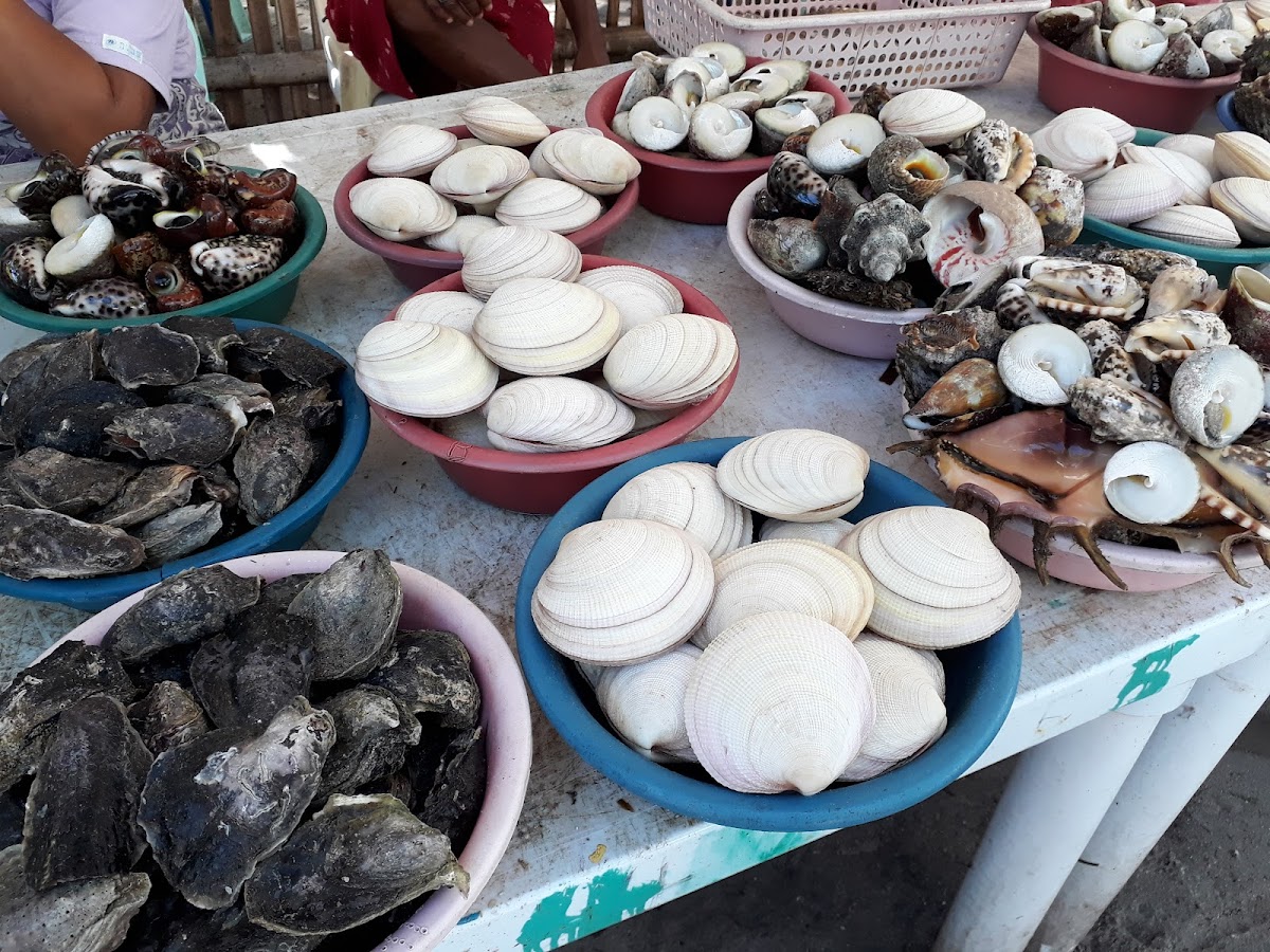 Seafood Market Photo 8