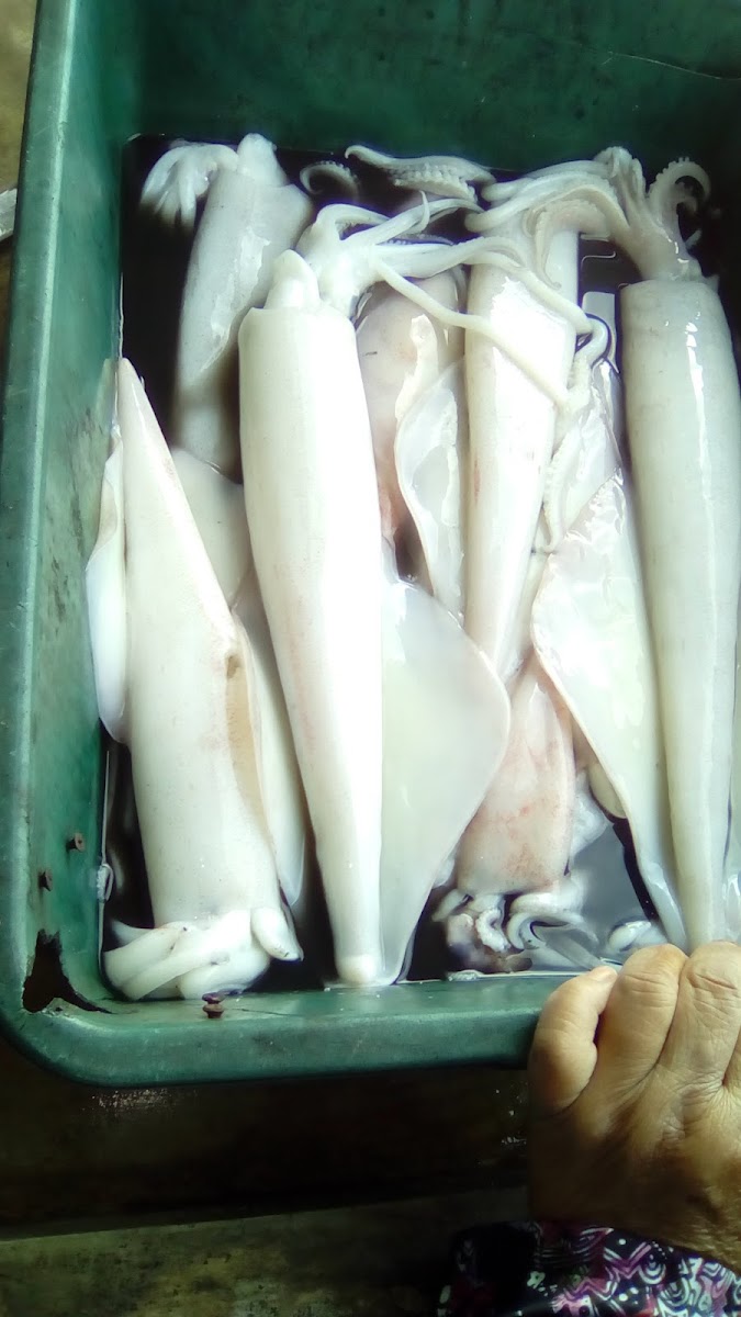 Padu Celup Tepung Photo 10