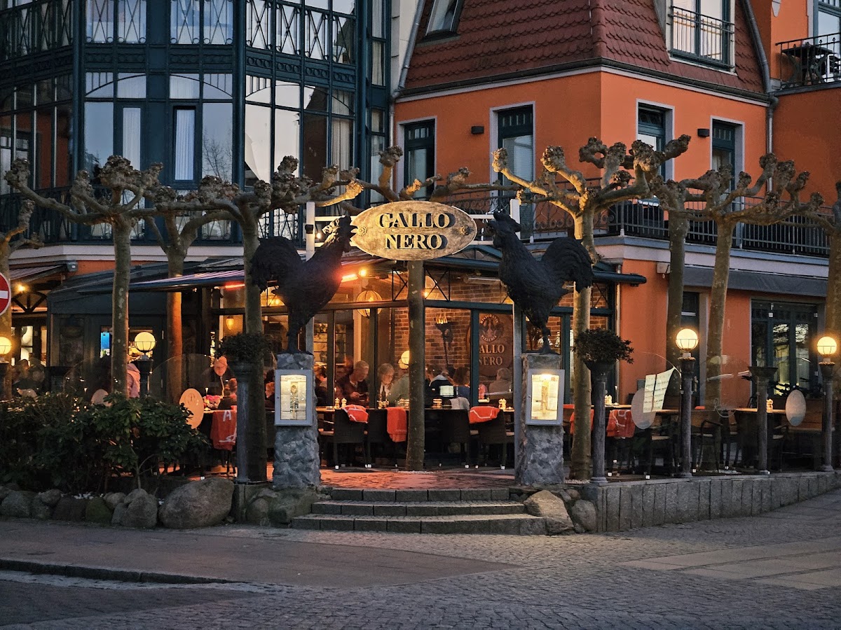 Ristorante Pizzeria Gallo Nero