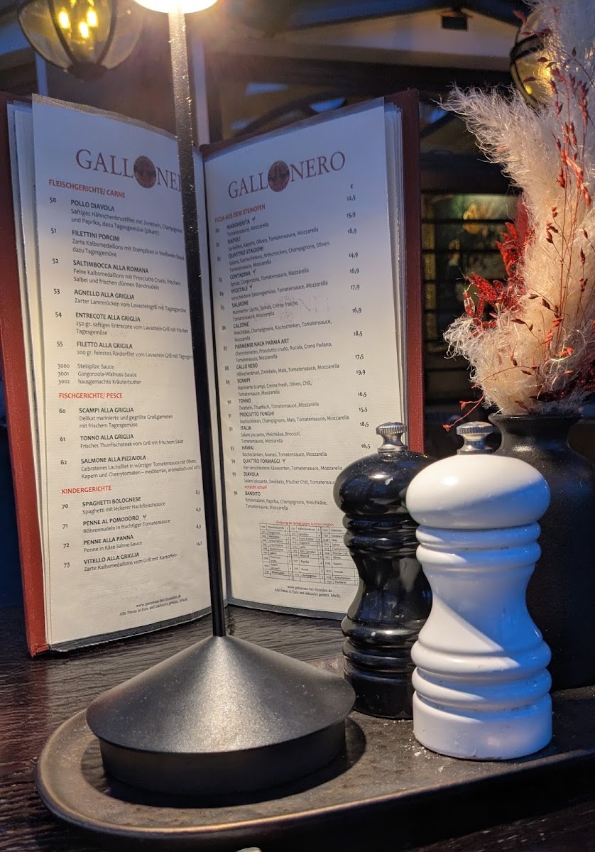 Ristorante Pizzeria Gallo Nero Photo Menu 5