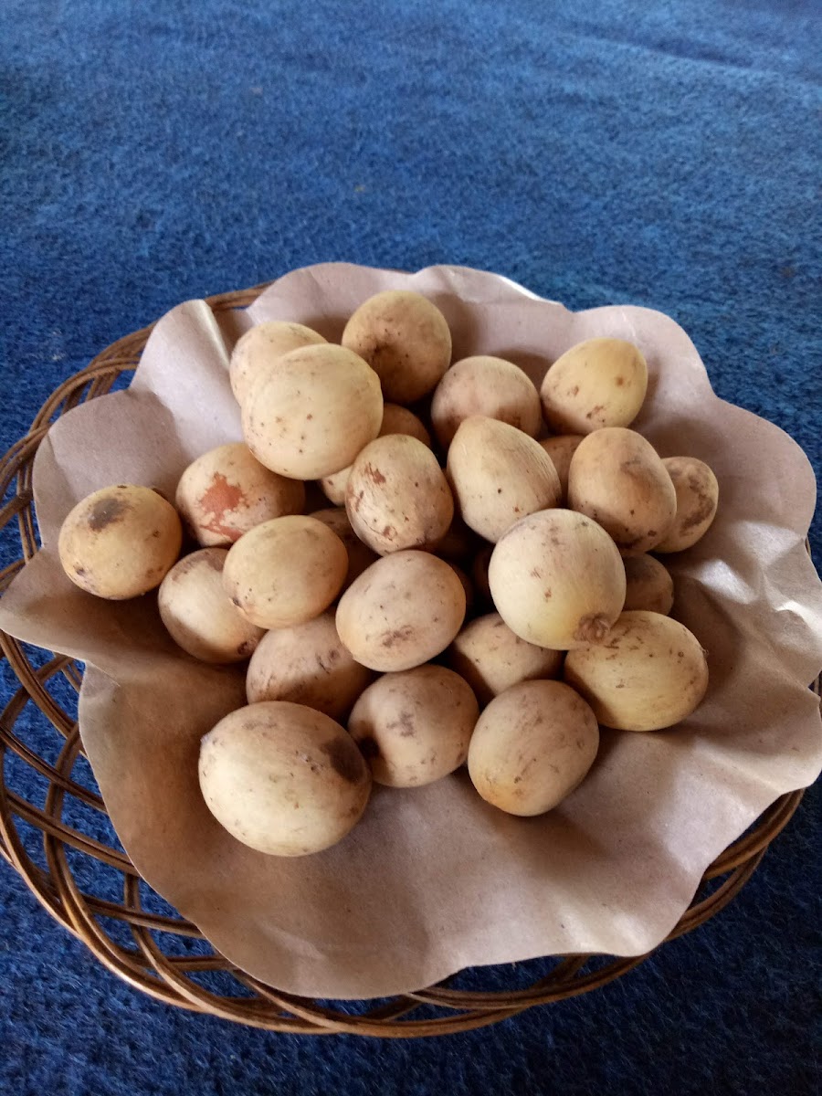 Rumah Makan Lampau Bulan Photo 5