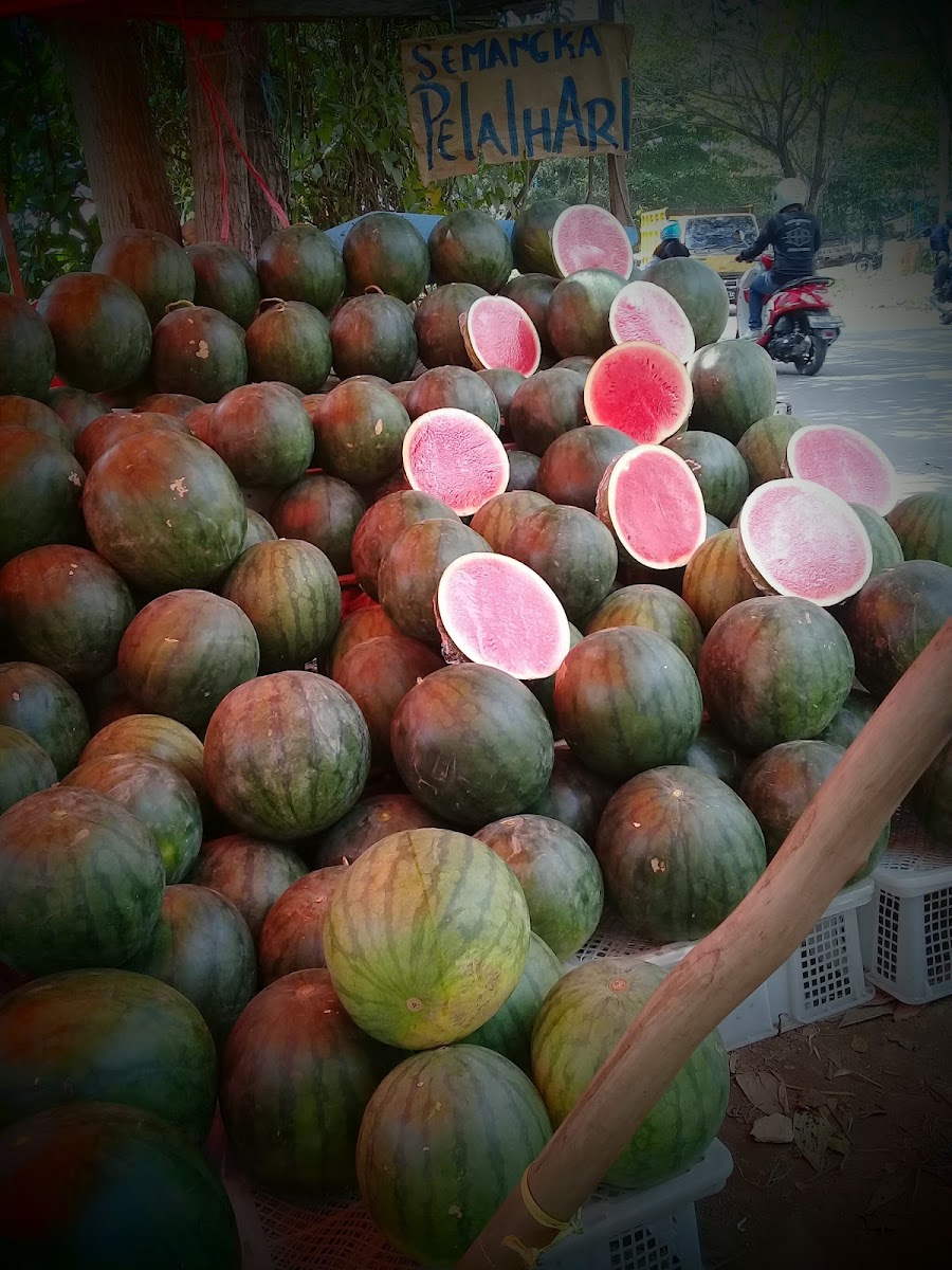 Rumah Makan Lampau Bulan Photo 7