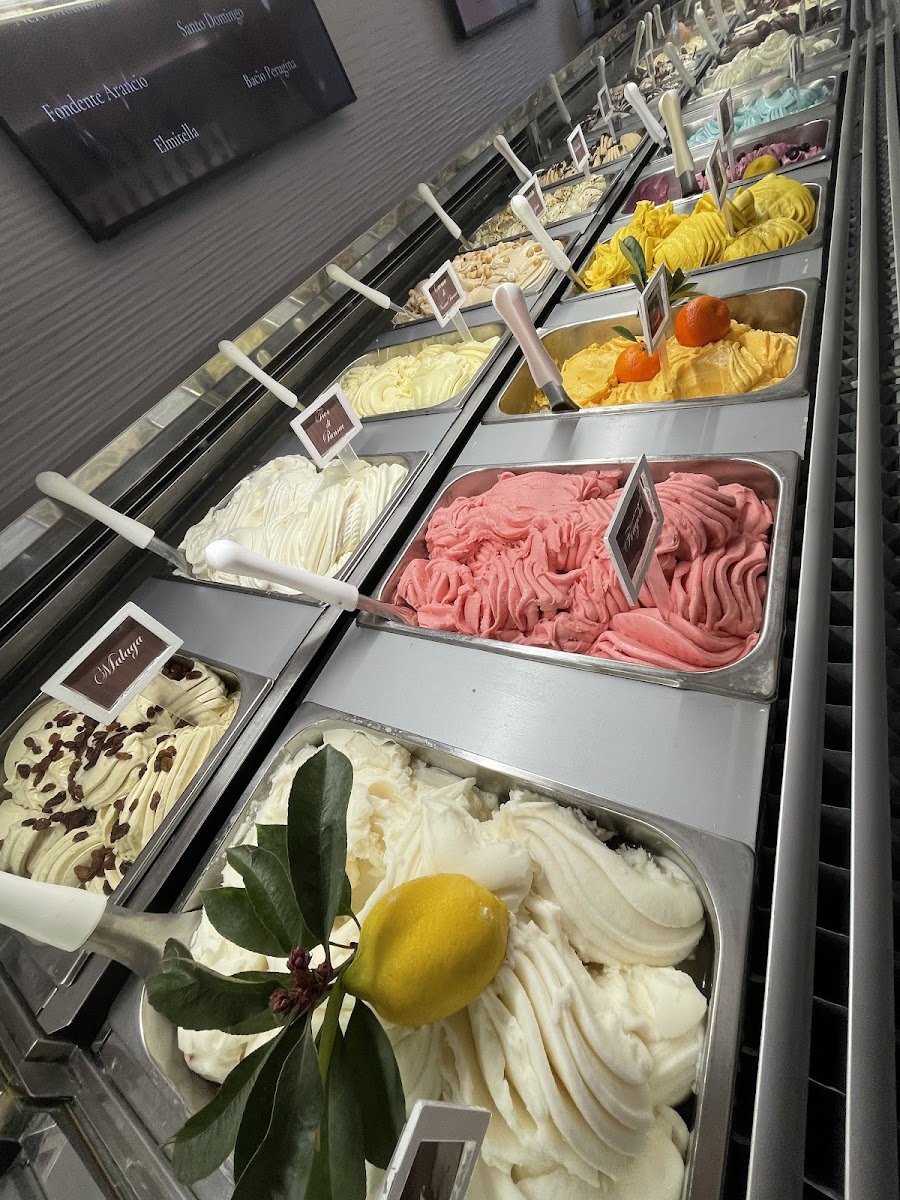 Elmi La Gelateria Photo 3