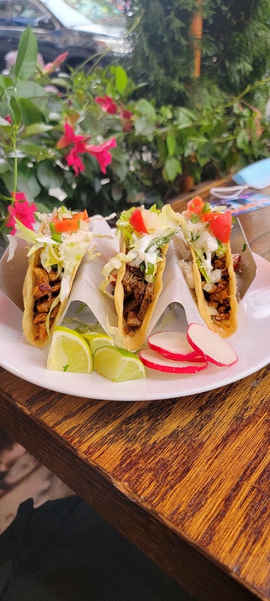 Taqueria Emilio 2 Photo 8