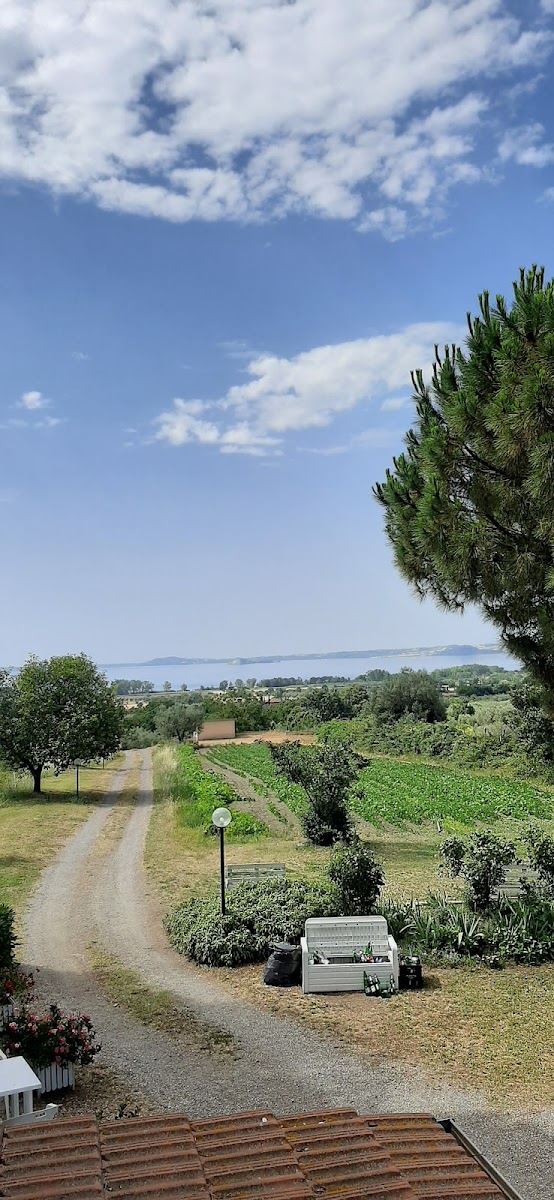 Ristorante la Palombara Photo 4